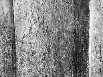 Black and white dilapidated wood veneer texture (ID:ffaeh958332)