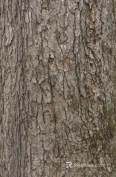 bark texture