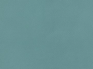 fine grain leather texture (ID:ffach874470)