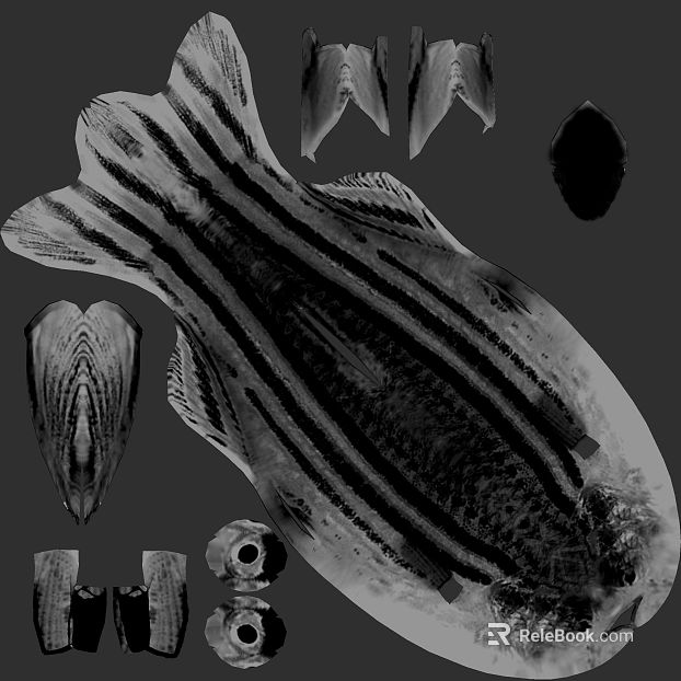 Black and White Striped Fish Skin Map texture