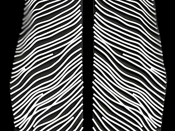 Black and White Bump texture (ID:ffaag70525)
