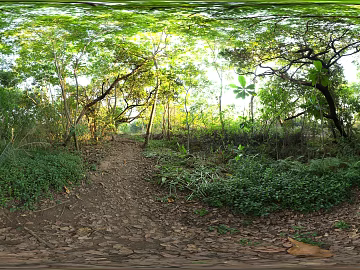 outdoor forest path landscape hdr 3d model