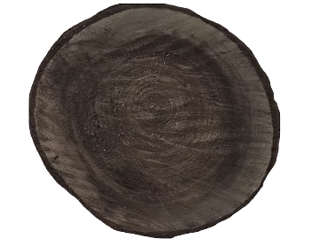 annual rings texture (ID:ffaag58921)