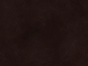 fine grain leather texture (ID:ffajg98191)