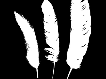 Highlight Mask texture (ID:ffaag12111)