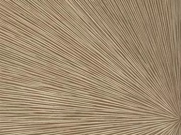 Light Coffee-Colored Wood Veneer with Radial Patterned Background Wall texture (ID:ffaeh021234)
