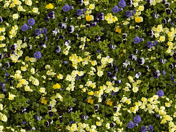 Flowers texture (ID:ffajg00145)