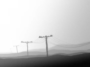 black and white painting texture (ID:ffajg16626)