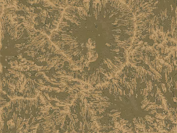 plant pattern texture (ID:ffajg29622)