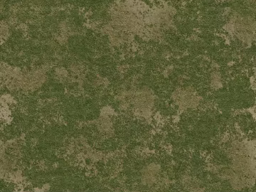 Turf texture (ID:ffach408086)