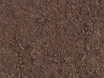 Mud texture (ID:ffacg55116)