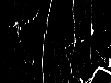 Black and White Bump Wood Grain Black and White Bump texture (ID:ffach569984)
