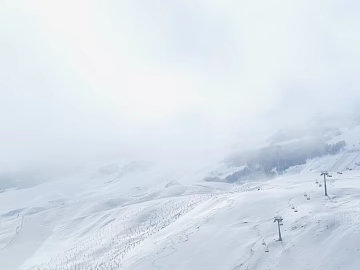 Wild Scenery texture (ID:ffaeg91539)