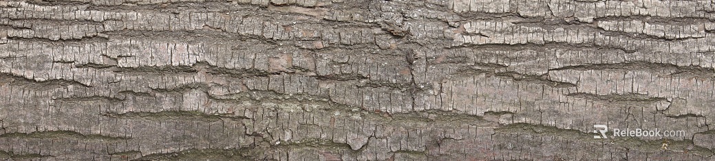 bark texture