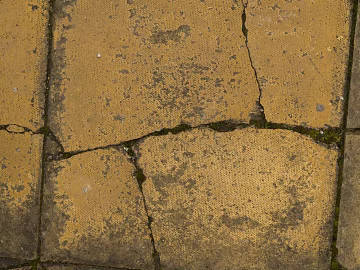 Cement floor texture (ID:ffagg11636)
