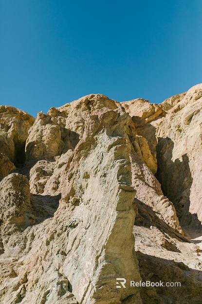Wild Scenery texture