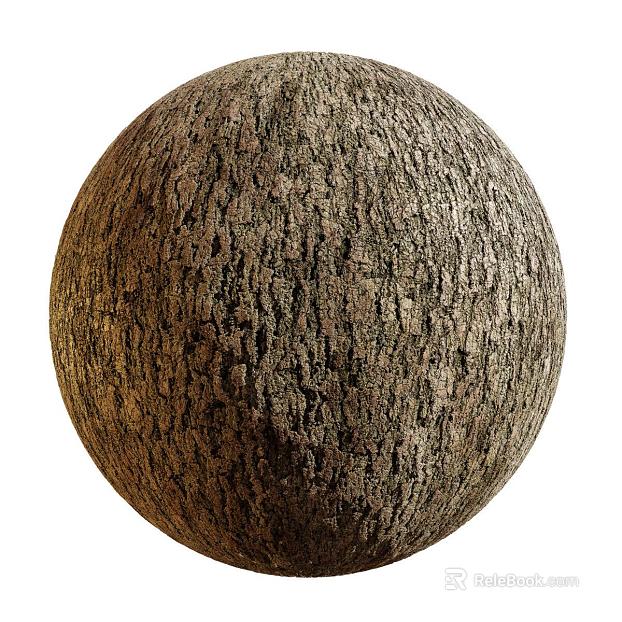 East Asian Bark PBR texture