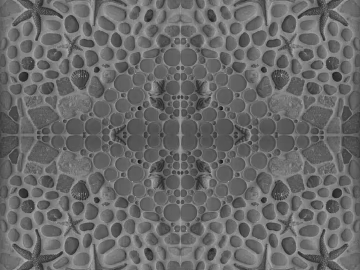 Black and White Bump texture (ID:ffaag55776)
