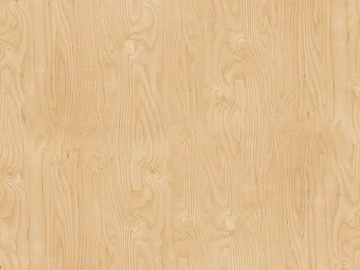Wood grain 3d model