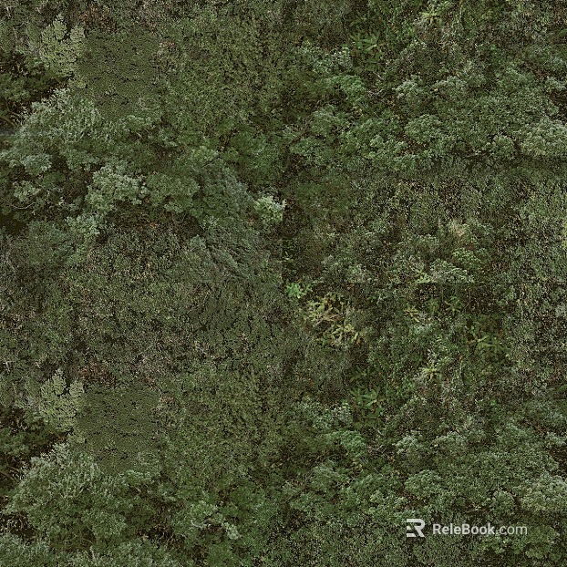 Yamaguform texture