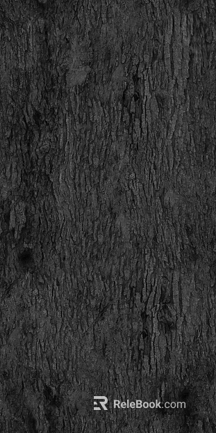 bark texture