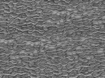relief sandstone relief white clouds texture (ID:ffajg42199)
