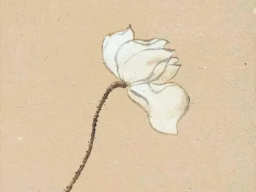 Plant painting texture (ID:ffach461710)