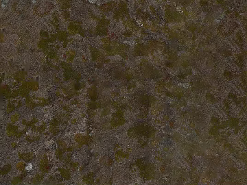 gray brown moss outdoor ground 3d model