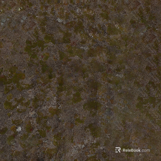 gray brown moss outdoor ground texture