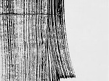 abstract painting texture (ID:ffajg79745)