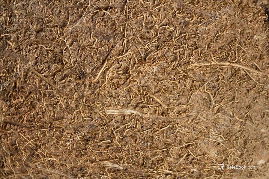 sawdust texture