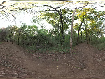 Outdoor Forest Daytime HDR texture (ID:ffhbe040)
