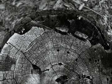 Black and White Bump texture (ID:ffagg81873)