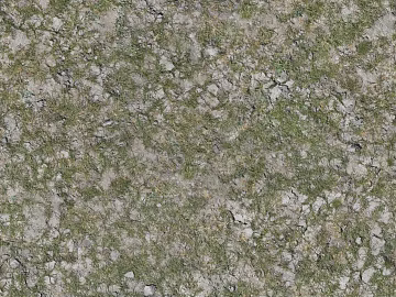 Turf ground texture (ID:ffaaf8687)