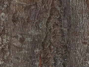 Dark brown bark natural decorative surface texture (ID:ffaeh582929)