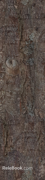 Dark brown bark natural decorative surface texture