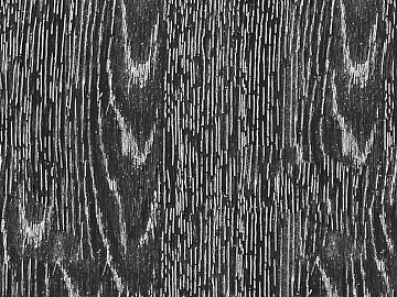 Black and white wood grain texture (ID:ffajg51766)