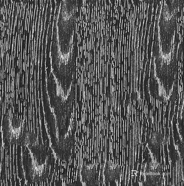 Black and white wood grain texture