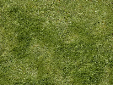 Turf texture (ID:ffaag68084)