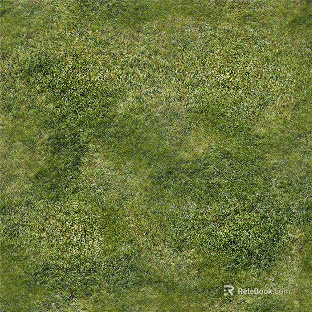 Turf texture