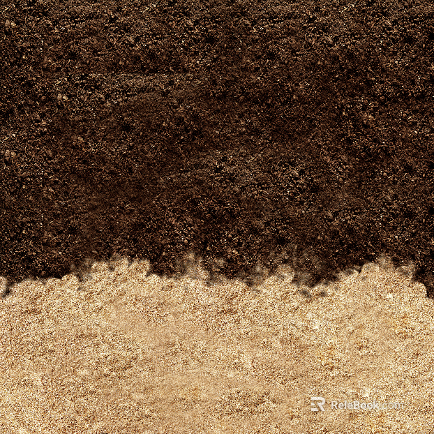 Sand texture