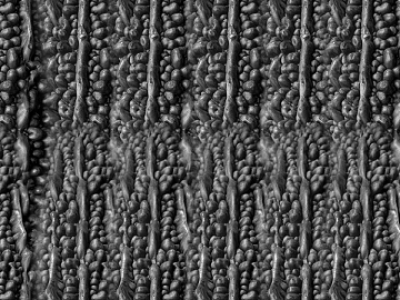 Charcoal roasted mahogany texture (ID:ffabf0369)