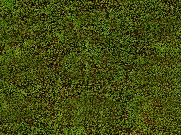Turf texture (ID:ffaag15871)