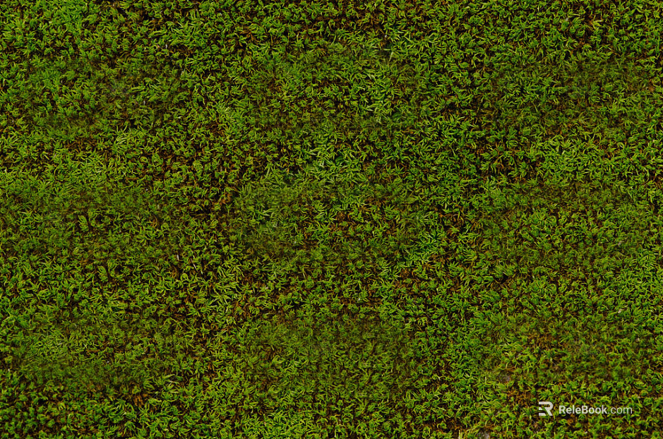 Turf texture