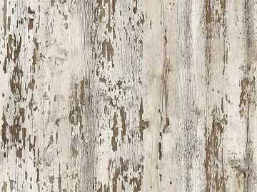 birch veneer texture (ID:ffach876625)