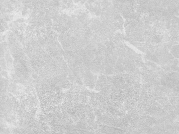 fine grain leather texture (ID:ffaef1014)
