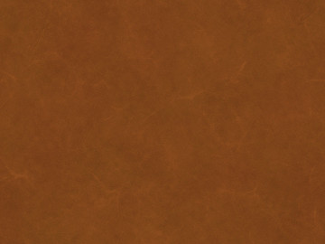 fine grain leather texture (ID:ffadf5328)