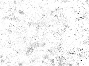 Cement paint black and white texture (ID:ffaag12391)