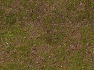 Turf texture (ID:ffabg74877)