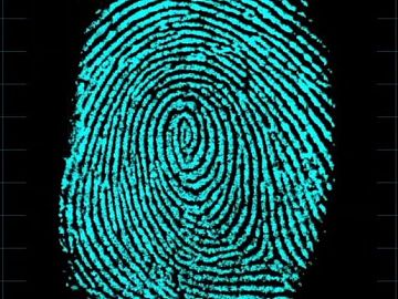 Fingerprint texture (ID:ffagg17109)